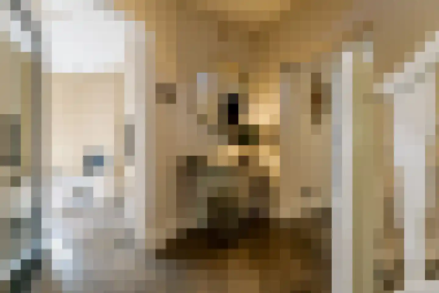 Engweg 22 Laren thumbnail 8