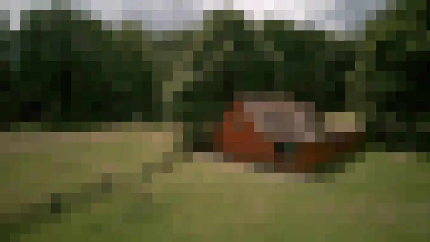 Engweg 24 Laren thumbnail 10