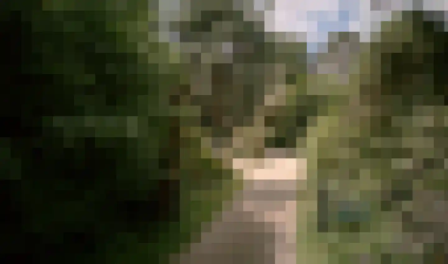 Engweg 24 Laren thumbnail 11