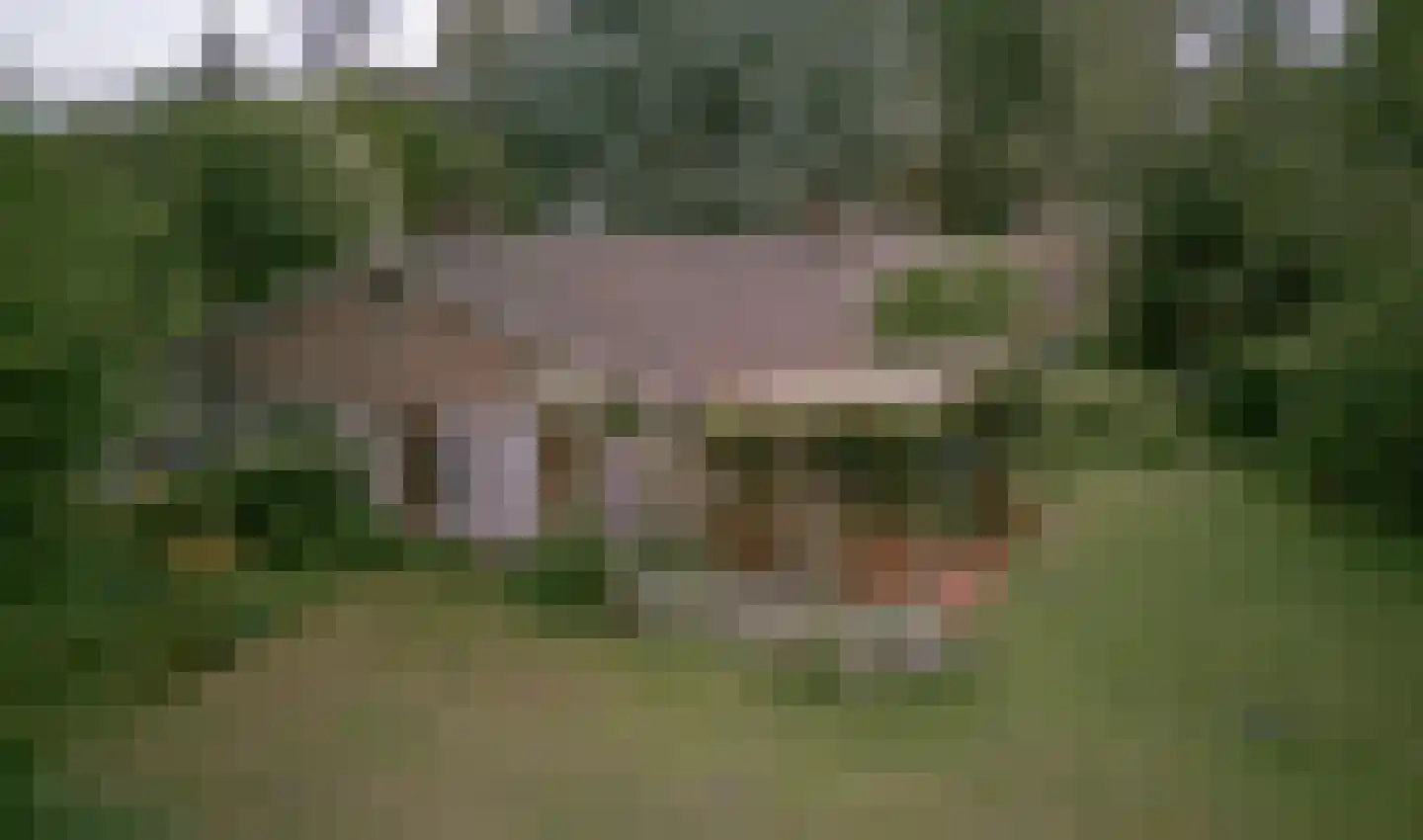 Engweg 24 Laren thumbnail 12