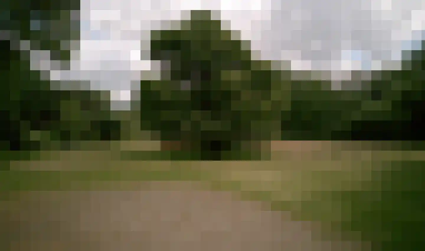 Engweg 24 Laren thumbnail 14
