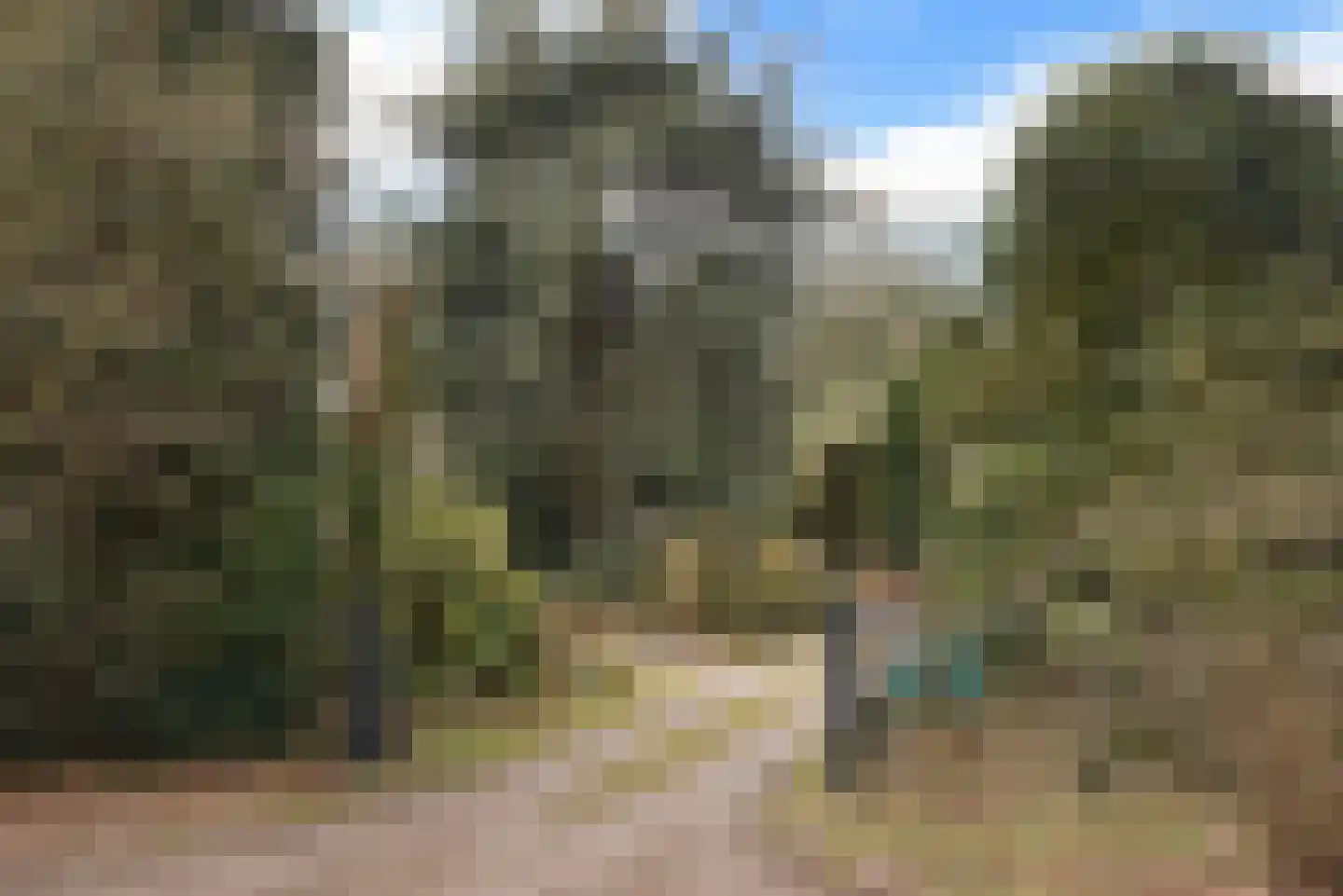 Engweg 24 Laren thumbnail 16