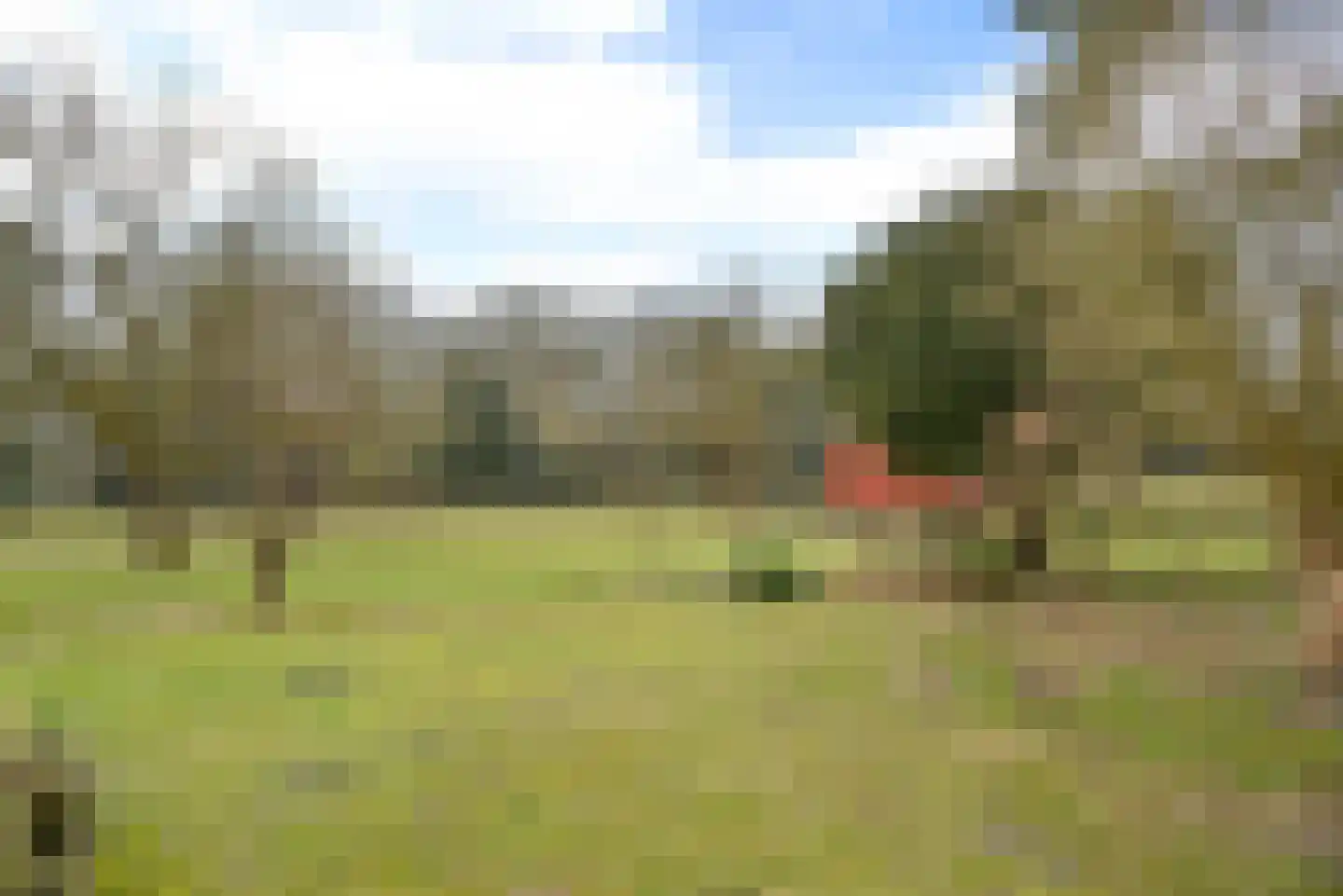 Engweg 24 Laren thumbnail 18