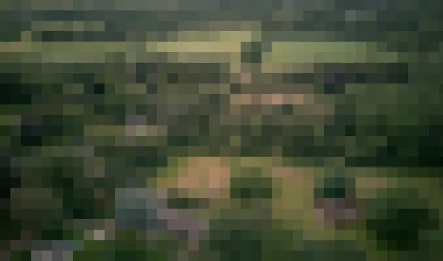 Engweg 24 Laren thumbnail 19
