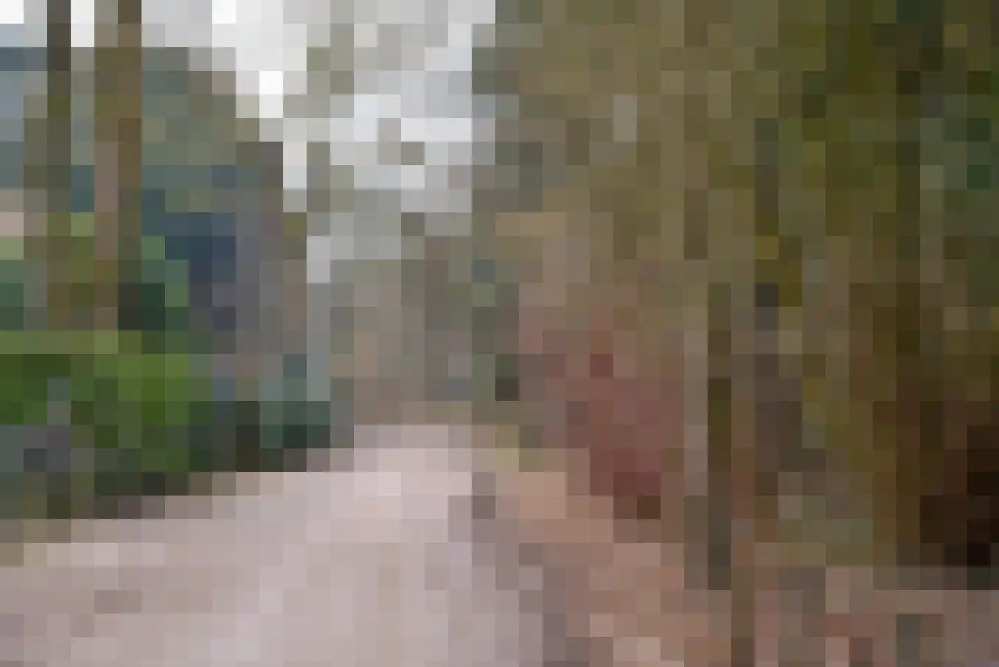 Engweg 24 Laren thumbnail 7