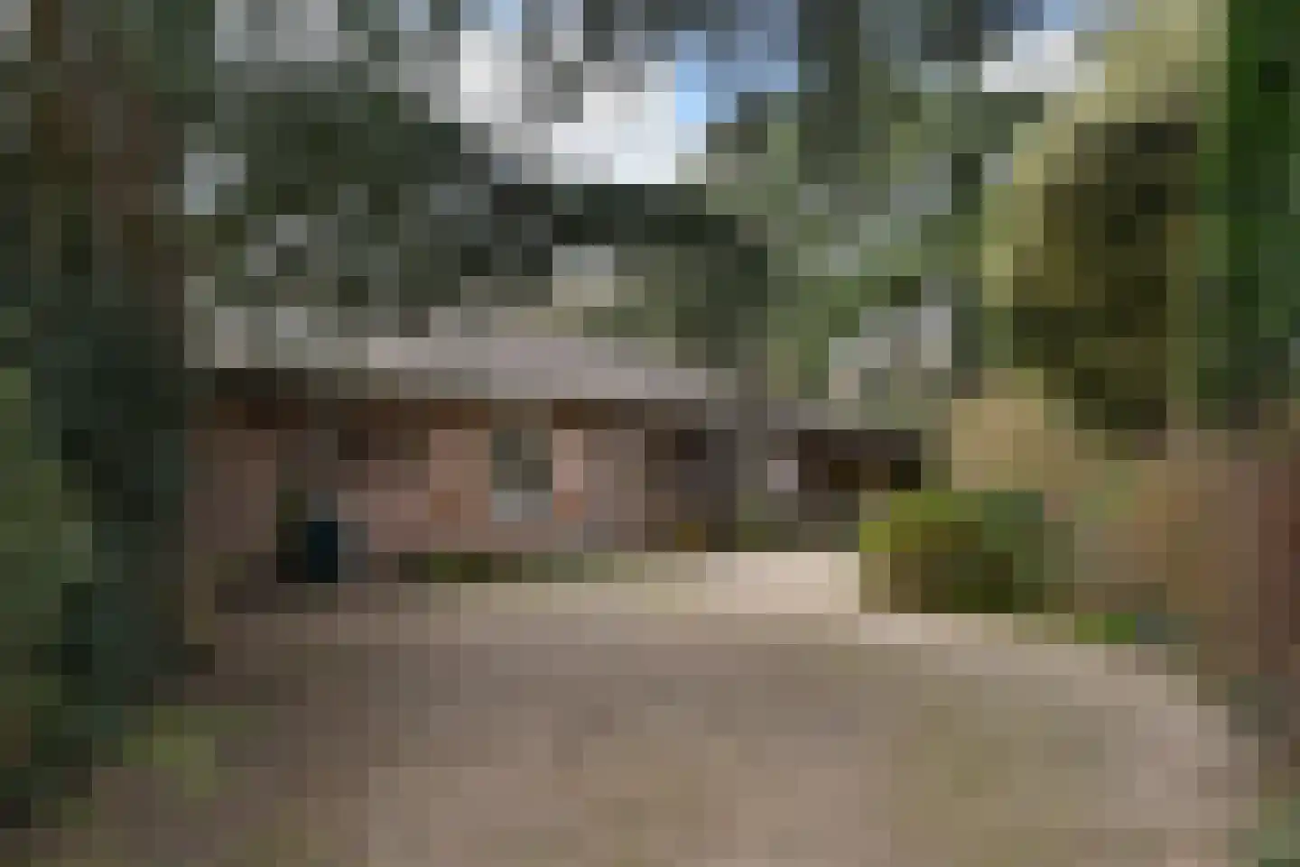 Engweg 24 Laren thumbnail 8