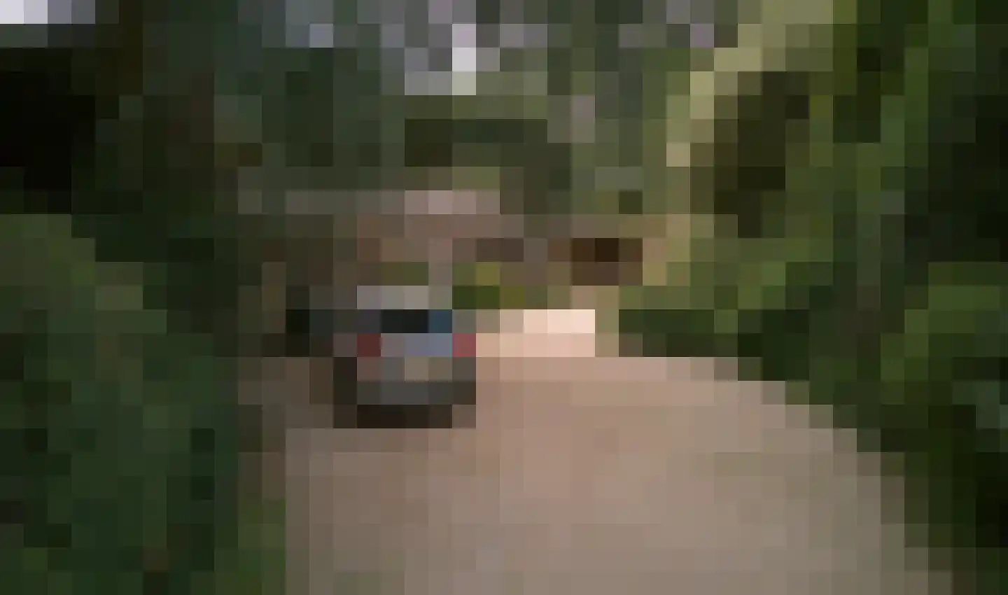 Engweg 24 Laren thumbnail 9
