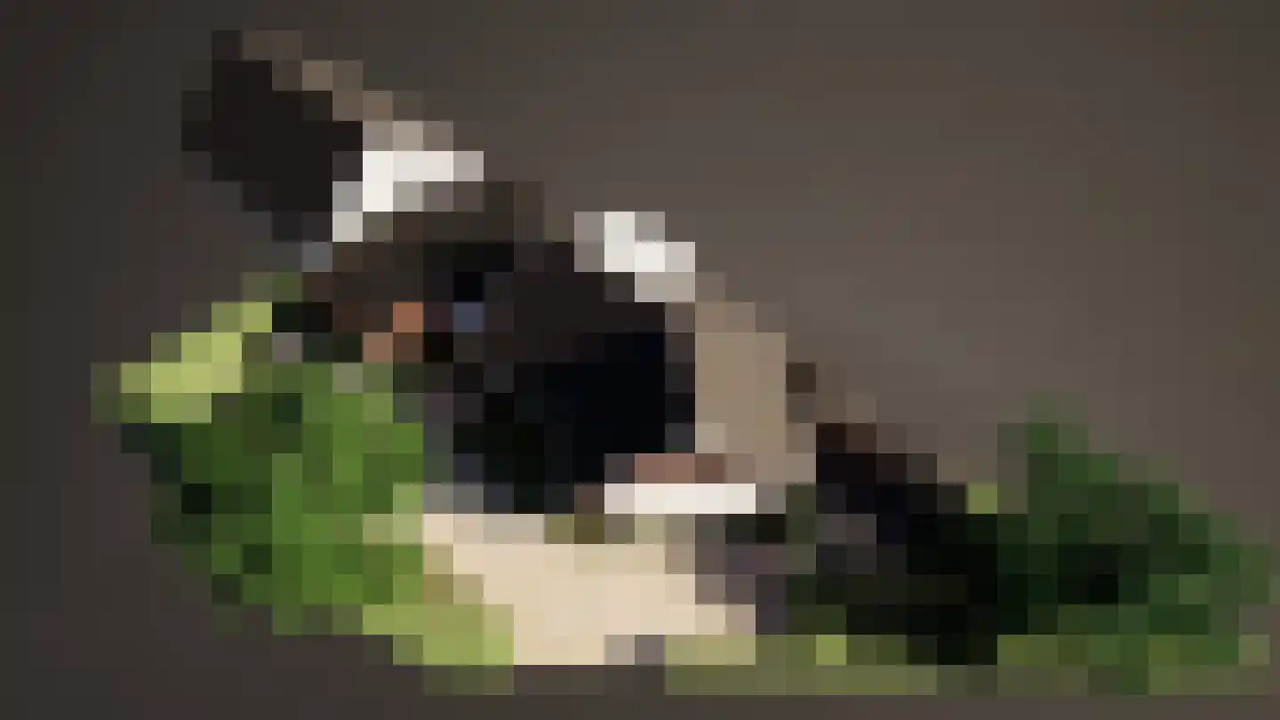Engweg 3 Putten thumbnail 8