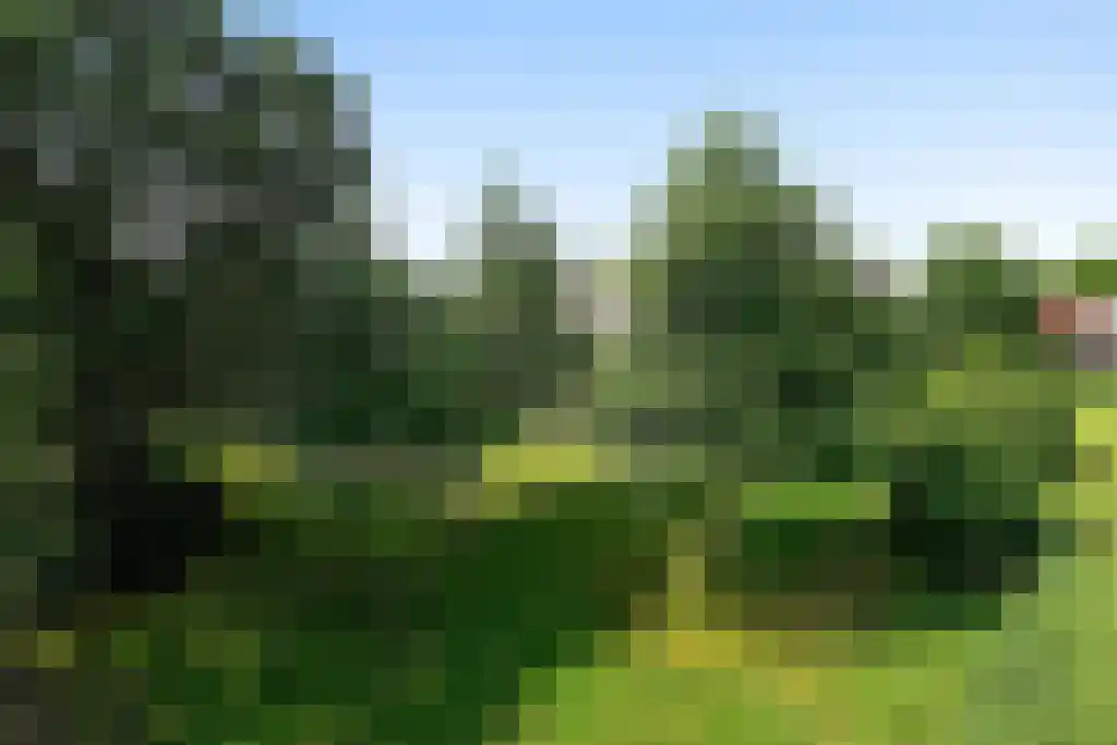 Engweg 31 Hoogland thumbnail 15