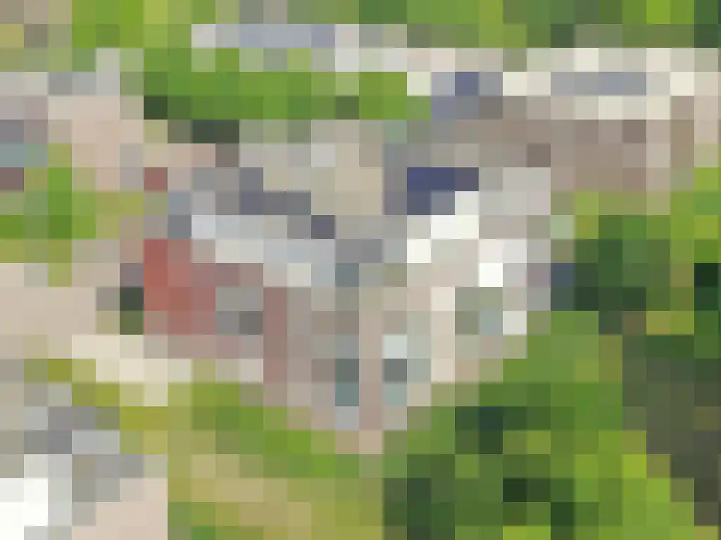 Engweg 31 Hoogland thumbnail 30