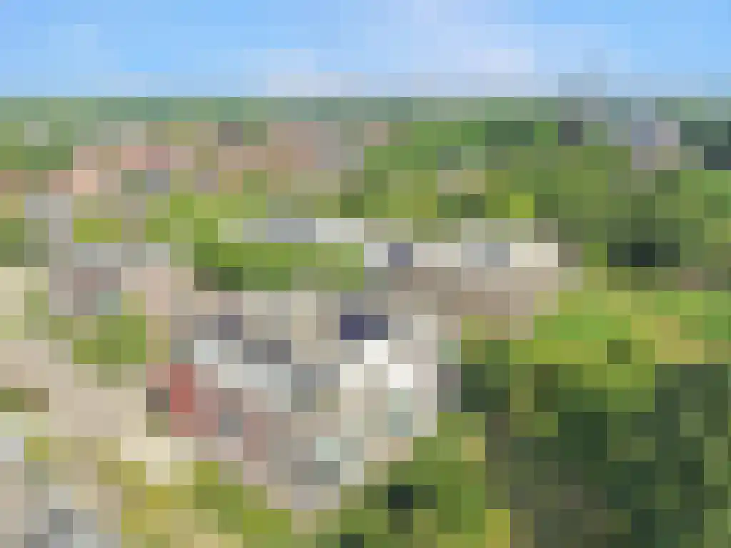 Engweg 31 Hoogland thumbnail 4