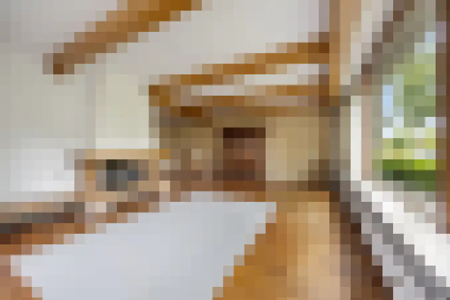 Engweg 34 Lunteren thumbnail 9
