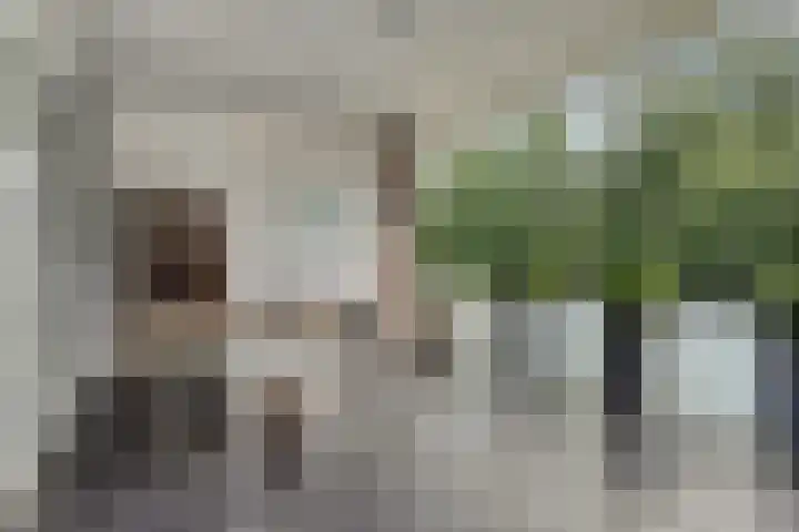 Engweg 37 Hoogland thumbnail 21