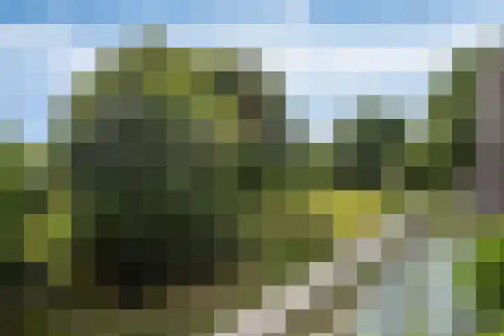 Engweg 37 Hoogland thumbnail 24