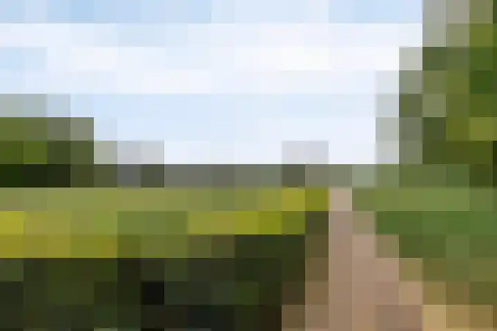 Engweg 37 Hoogland thumbnail 36