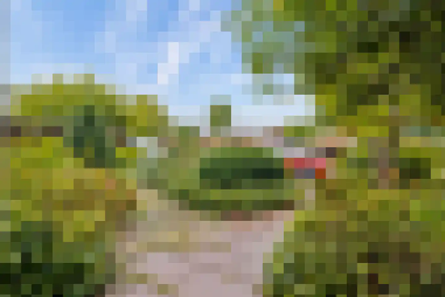 Engweg 38 Bunnik thumbnail 54