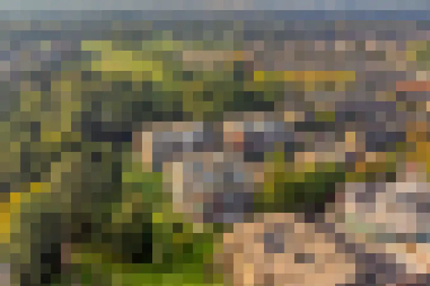 Engweg 43 Hoogland thumbnail 32