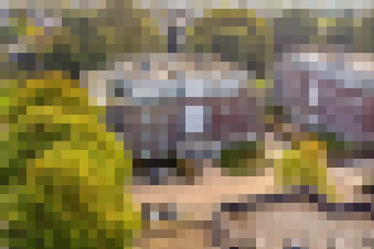 Engweg 43 Hoogland thumbnail 38