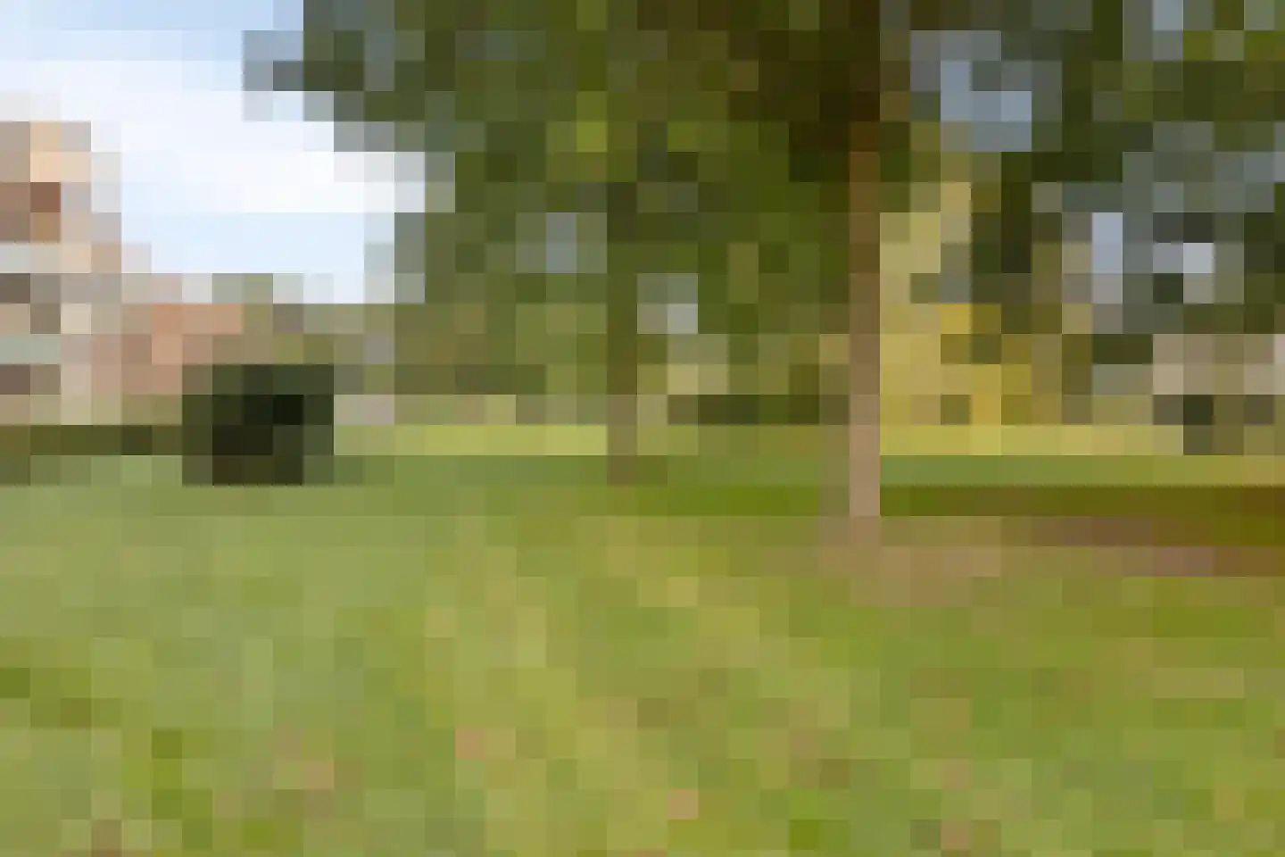 Engweg 43 Hoogland thumbnail 6