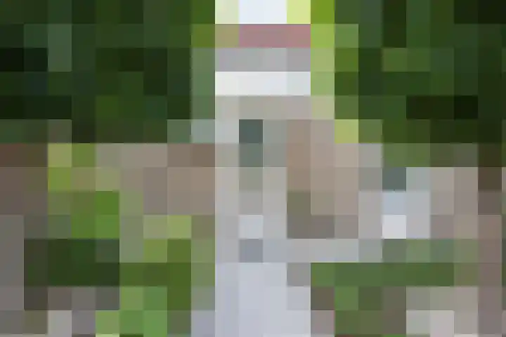 Engweg 46 Hoogland thumbnail 6