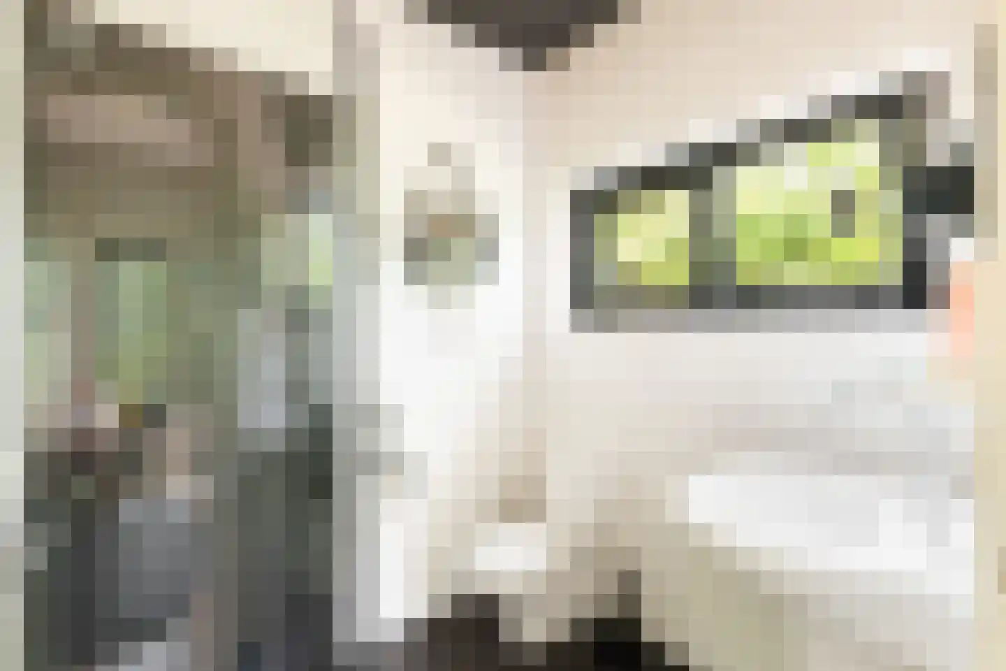 Engweg 46 Lunteren thumbnail 19