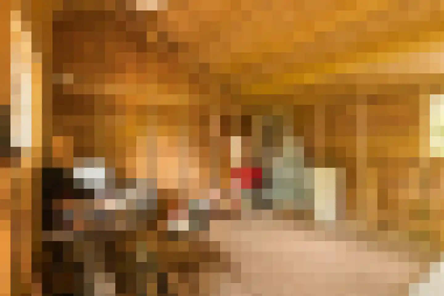 Engweg 46 Lunteren thumbnail 33