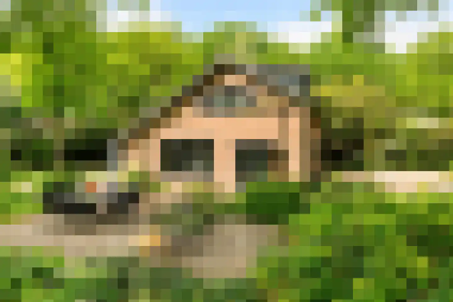 Engweg 46 Lunteren thumbnail 34