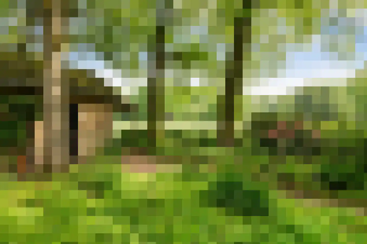 Engweg 46 Lunteren thumbnail 41