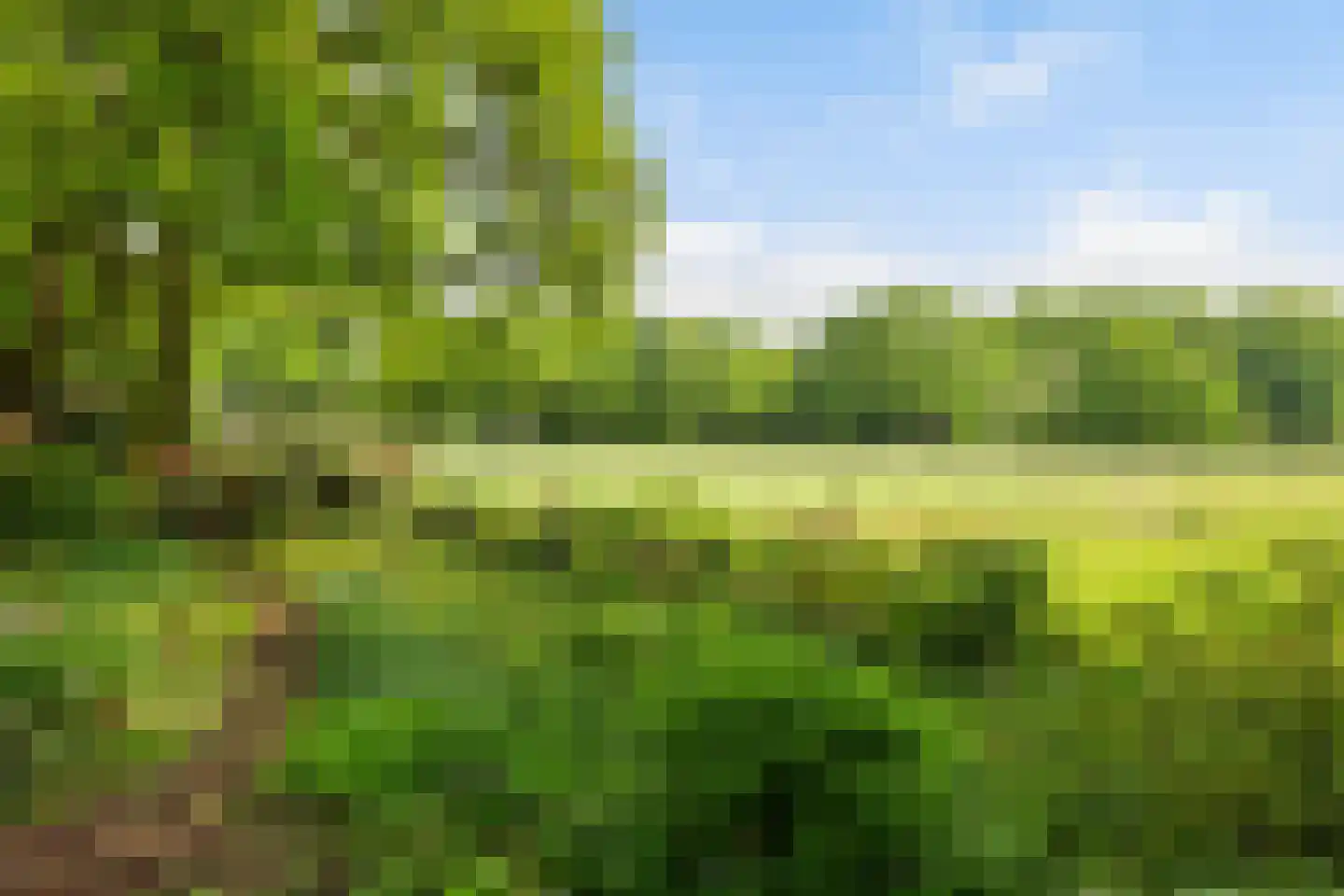 Engweg 46 Lunteren thumbnail 42