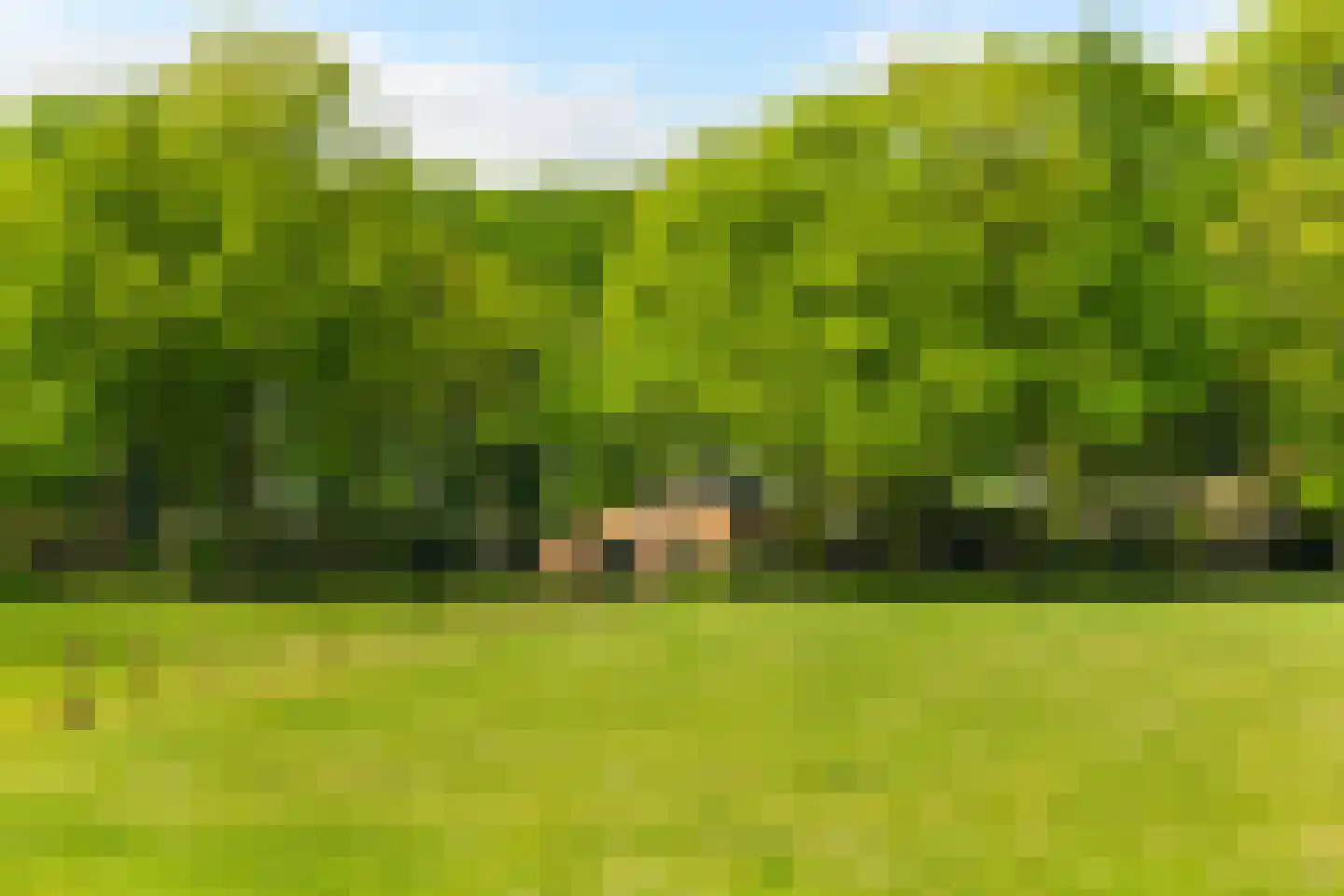 Engweg 46 Lunteren thumbnail 43