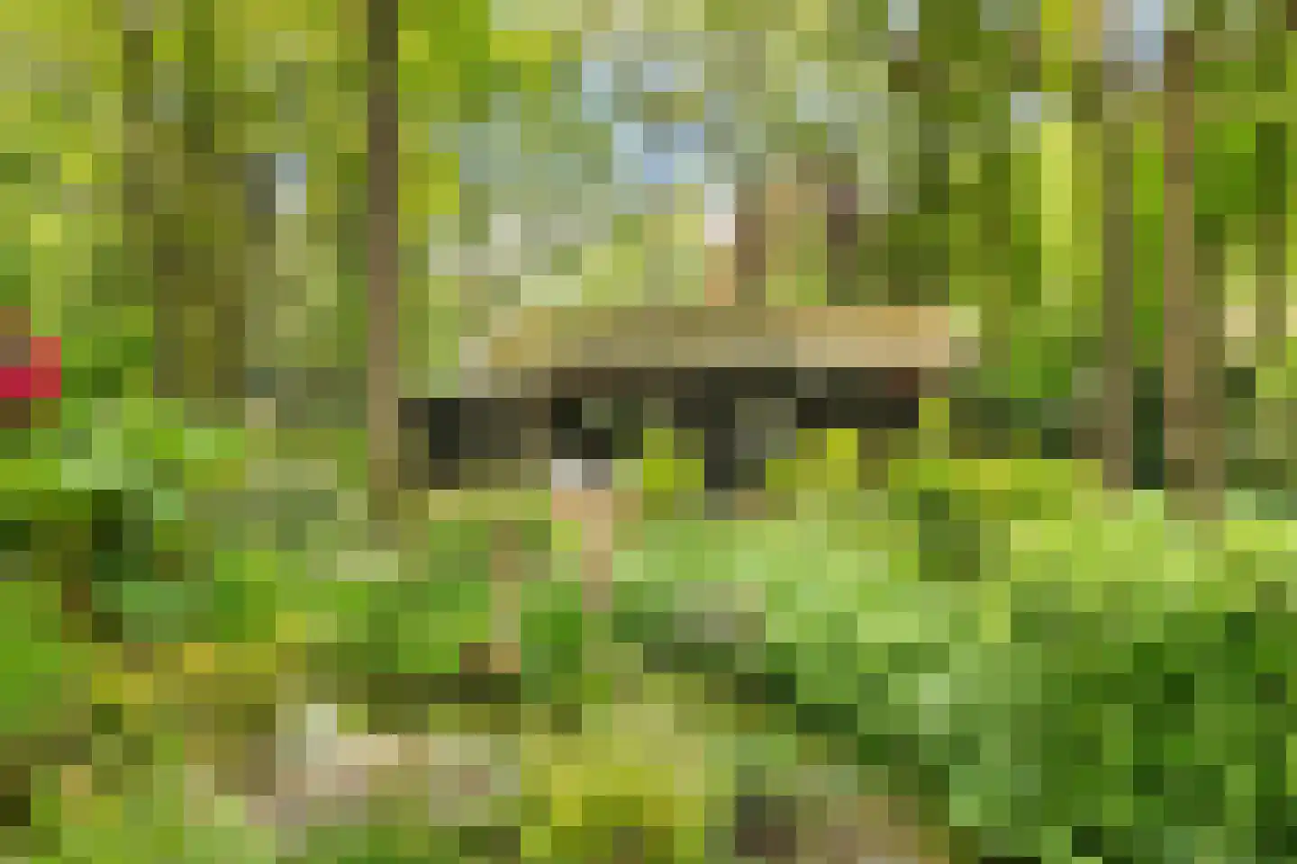 Engweg 46 Lunteren thumbnail 45