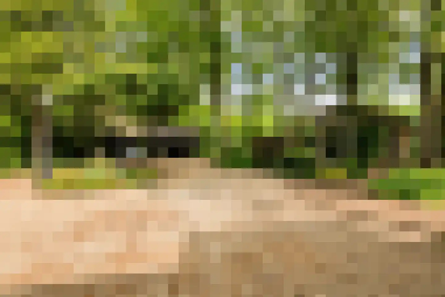 Engweg 46 Lunteren thumbnail 47