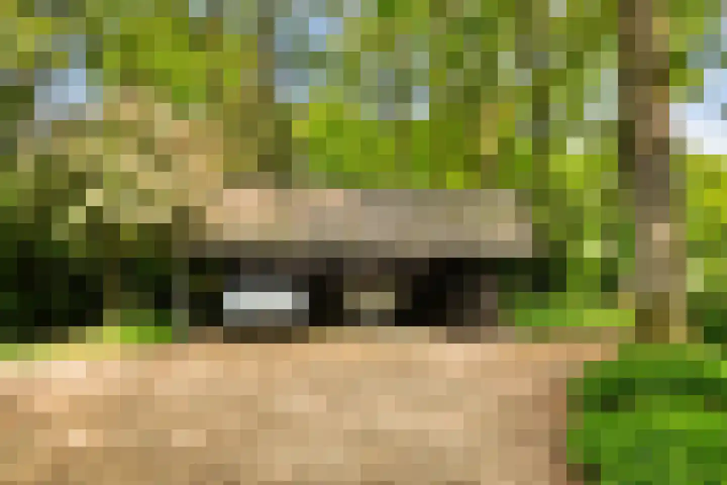 Engweg 46 Lunteren thumbnail 48