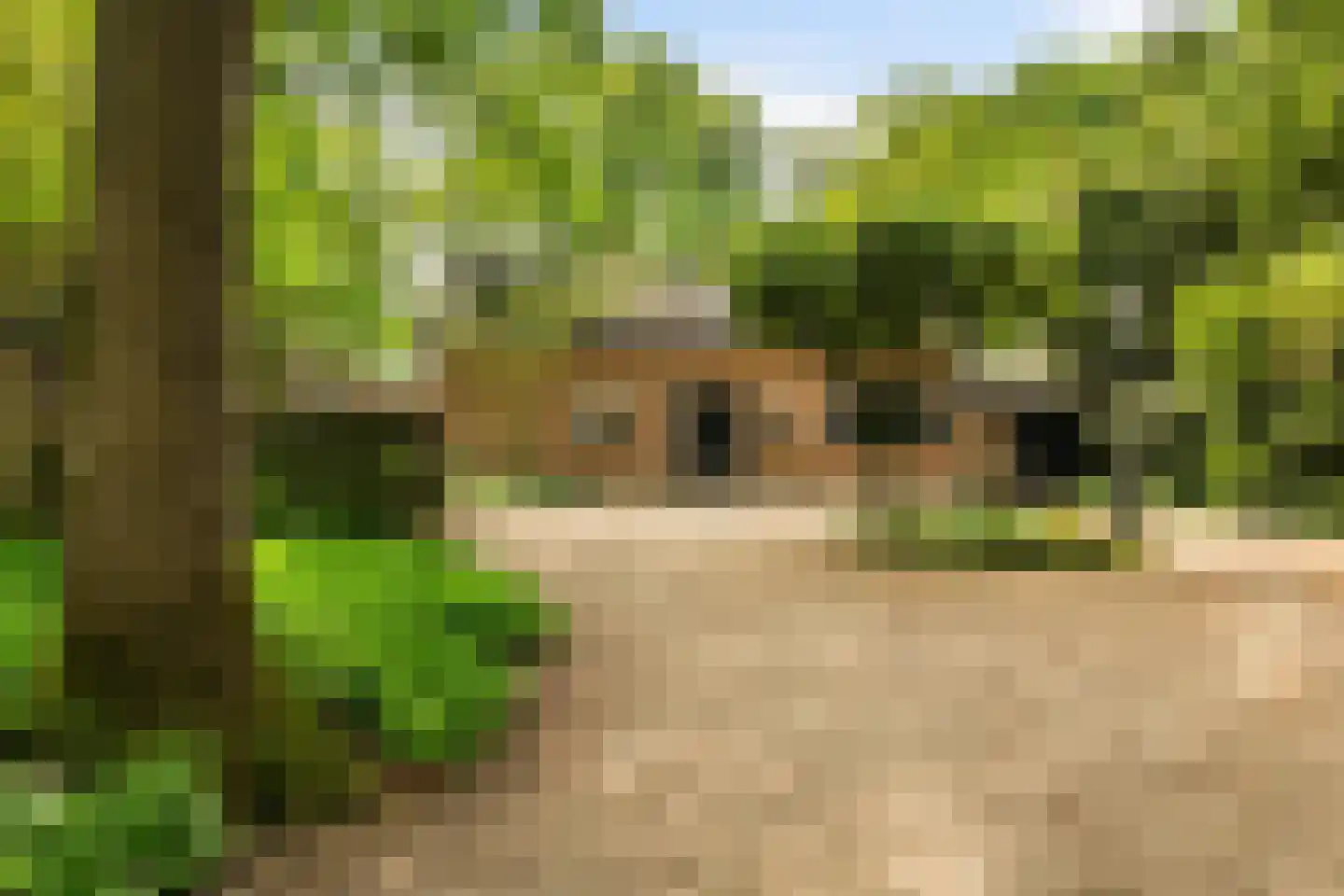 Engweg 46 Lunteren thumbnail 51