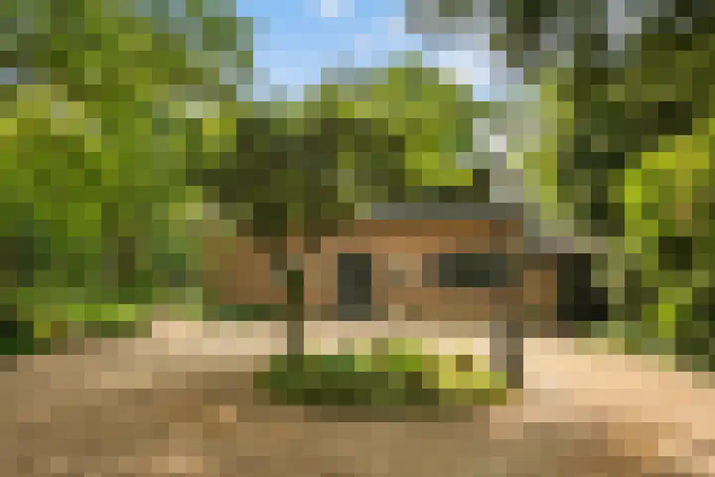 Engweg 46 Lunteren thumbnail 52