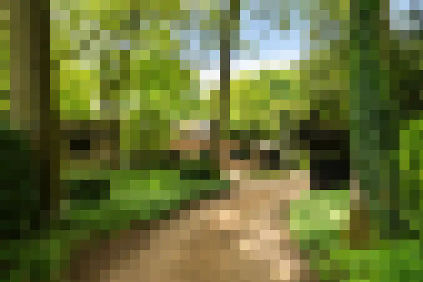 Engweg 46 Lunteren thumbnail 53
