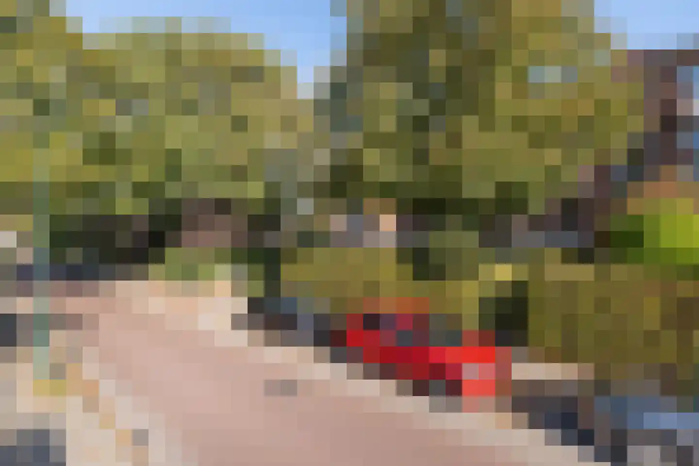 Engweg 5 I Driebergen-Rijsenburg thumbnail 34
