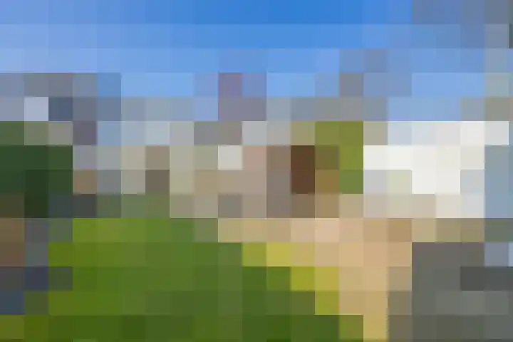 Engweg 5 Laren thumbnail 42