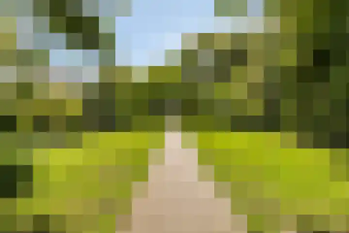 Engweg 57 Hoogland thumbnail 32