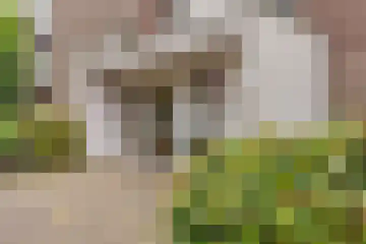Engweg 57 Hoogland thumbnail 6