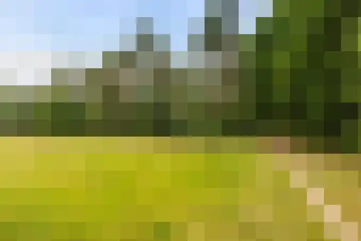 Engweg 59 Lunteren thumbnail 49