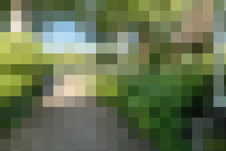 Engweg 83 Driebergen-Rijsenburg thumbnail 45