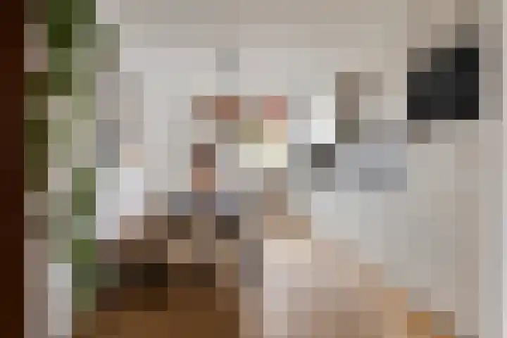 Engweg 84 Hoogland foto 3