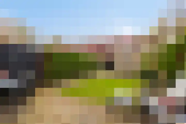 Engweg 84 Hoogland thumbnail 32