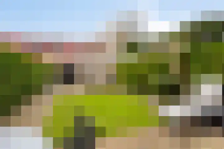 Engweg 84 Hoogland thumbnail 33