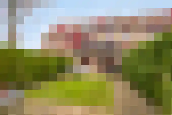 Engweg 84 Hoogland thumbnail 34