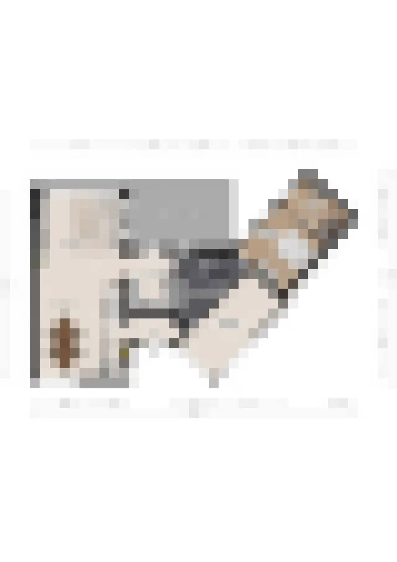 Engweide 19 Landgraaf thumbnail 35