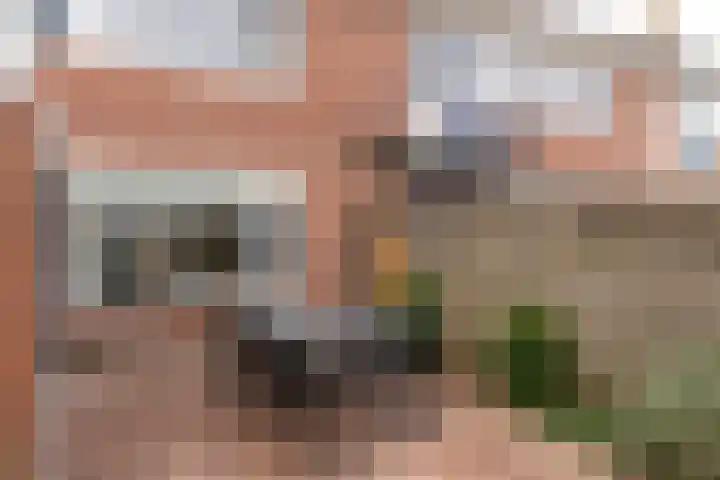 Engwerd 40 Drachten thumbnail 10