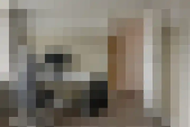 Engwerd 40 Drachten thumbnail 32