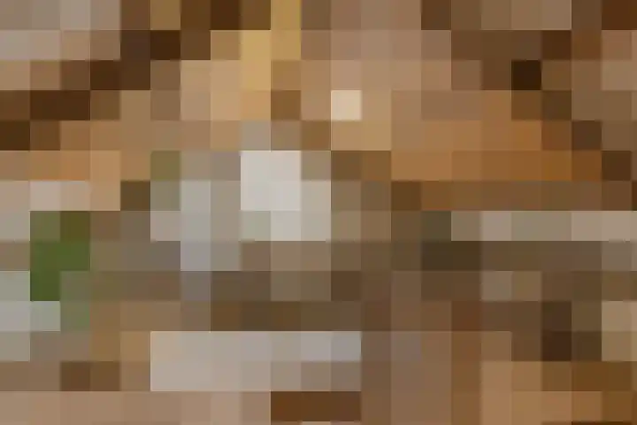 Engwerd 6 Drachten thumbnail 33